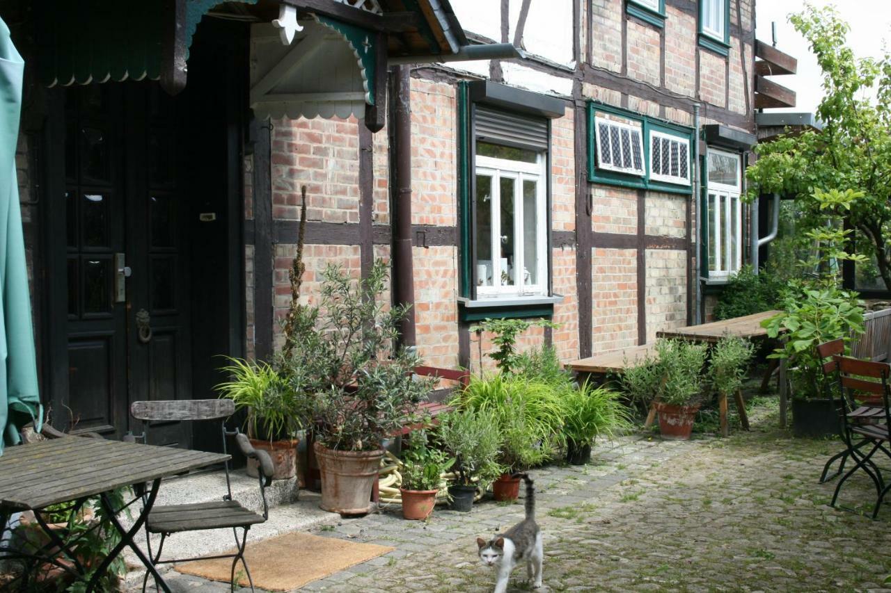 Apartments Café Brennnessel Veltheim Extérieur photo